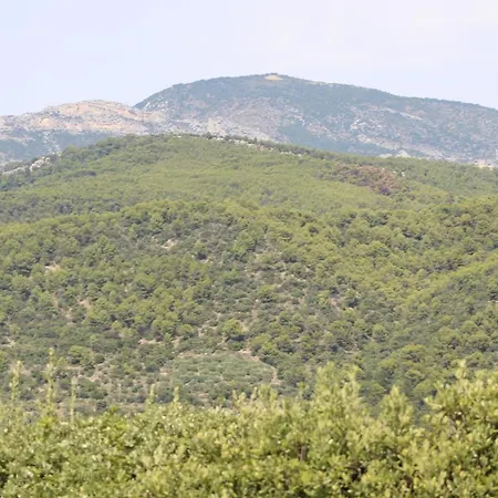 Le Pas Du Ventoux
